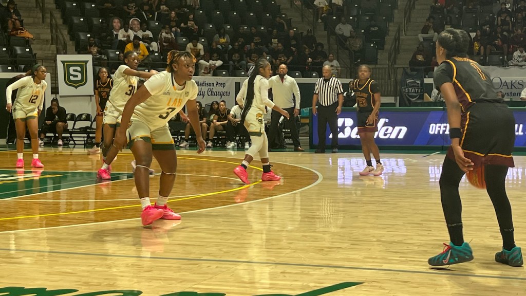 Southern Lab guard Asia Patin